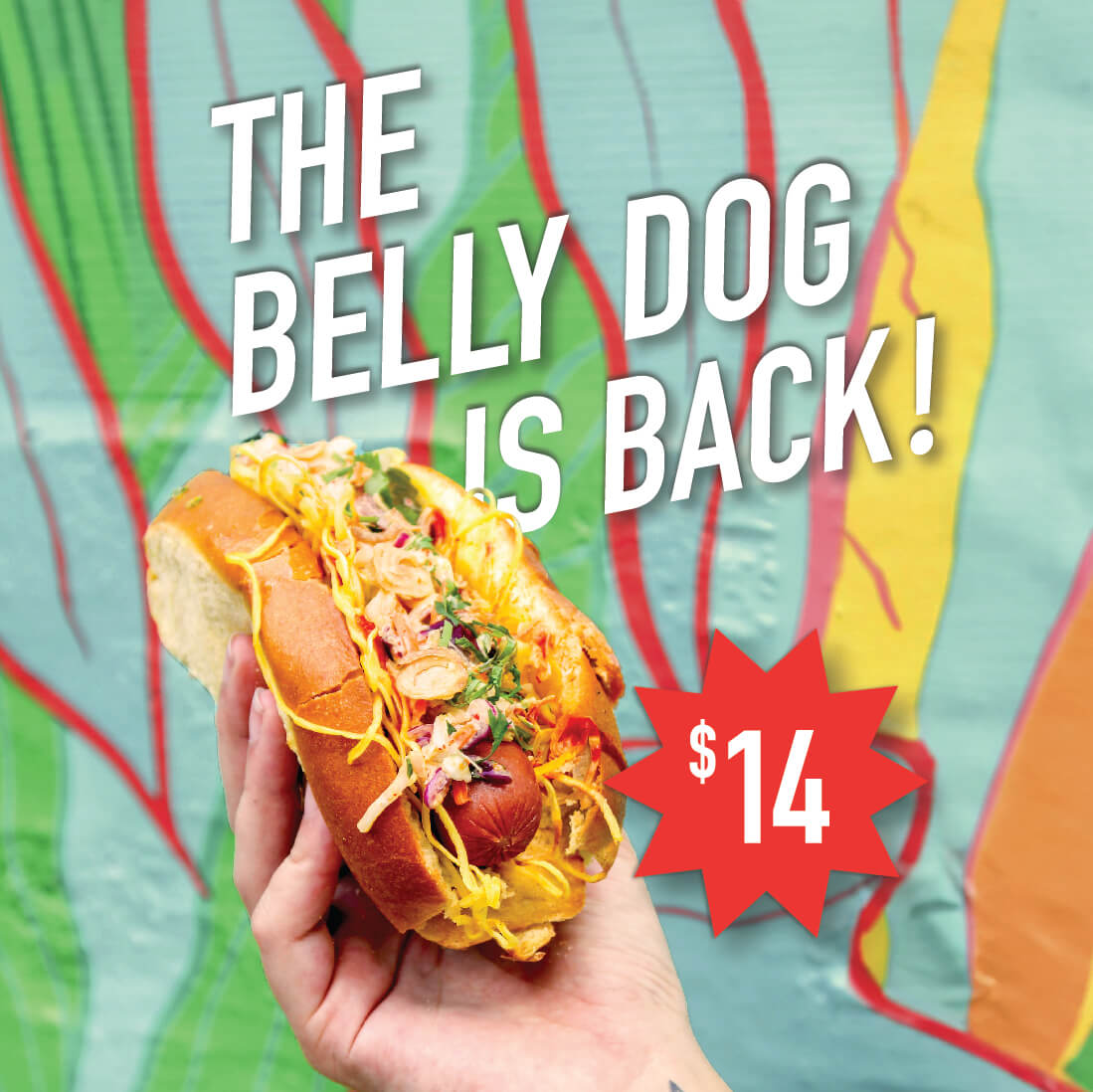 Belly Dog is Back!